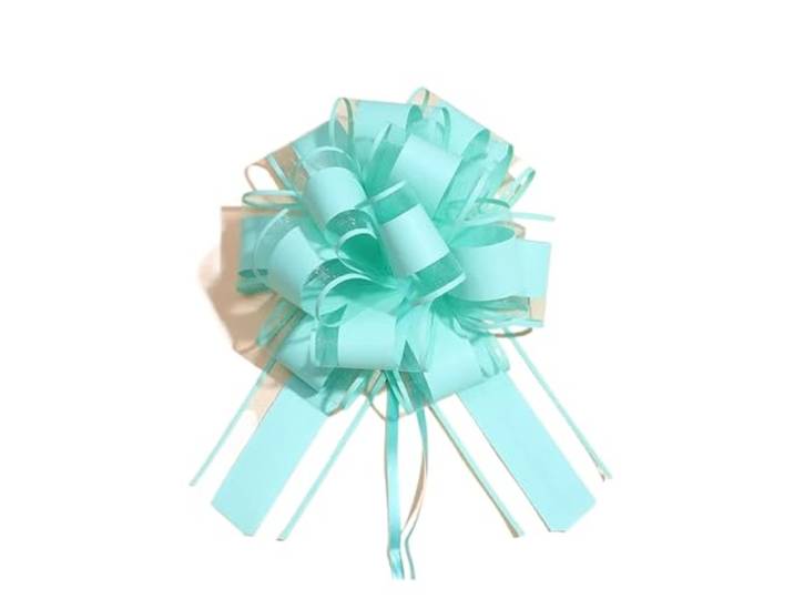 100 Stück weiße Hochzeitsschleifen fürs Auto Für Verpackung Hochzeitsauto-Dekoration, Geburtstagsparty-Zubehör, Stühle, DIY-Heimdekoration(Lake Blue)