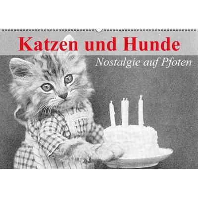 Katzen und Hunde - Nostalgie auf Pfoten (Wandkalender immerwährend DIN A2 quer)