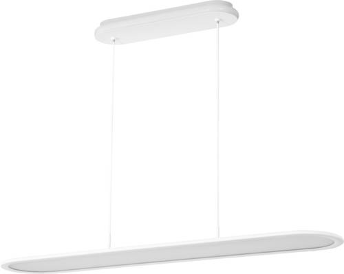 OSRAM HOMELIGHTING 4099854464898 Office Line Panel Ellipse 57W 940 White Deckenleuchte, Pendelleuchte 57W Weiß
