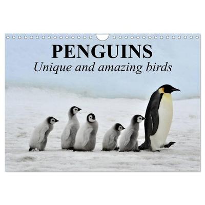 Penguins Unique and amazing birds (Wall Calendar 2027 DIN A4 landscape), CALVENDO 12 Month Wall Calendar