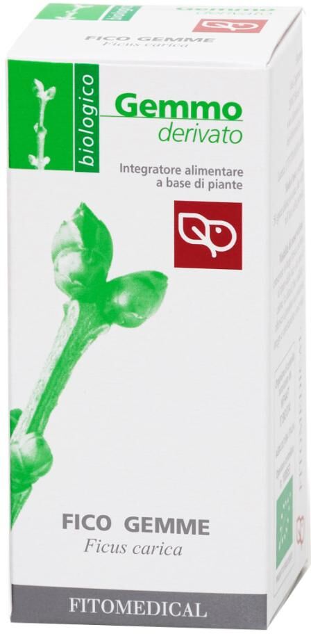 FITOMEDICAL Srl FICO GEMME GD  50ML BIO