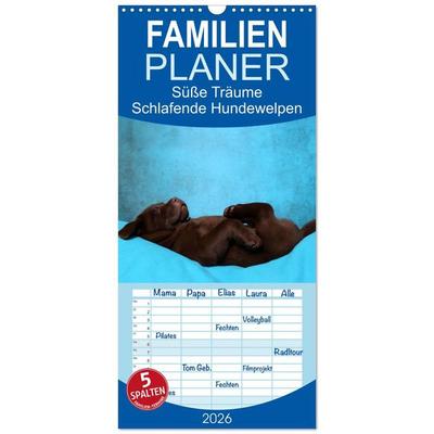 Familienplaner 2026 - Süße Träume 2026 - schlafende Hundewelpen mit 5 Spalten (Wandkalender, 21 x 45 cm) CALVENDO