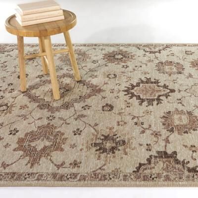 Balta Rugs Berengarten Oriental Medallion Indoor/Outdoor Area Rug