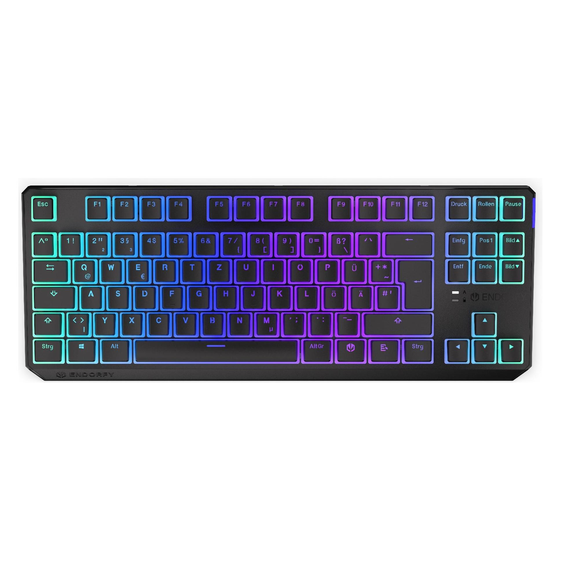 Endorfy Thock TKL (DE, Kabelgebunden, Kabellos) (EY5D017)