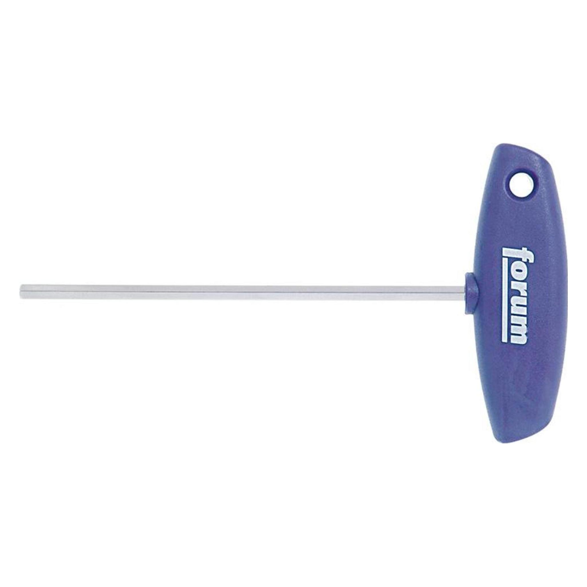 Forum Professional Solutions Sechskant-Schraubendreher mit Kunststoffheft 4 mm (32050)