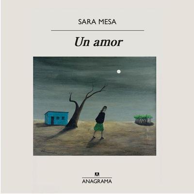 Un amor - Sara Mesa, Audio, 9788433902795