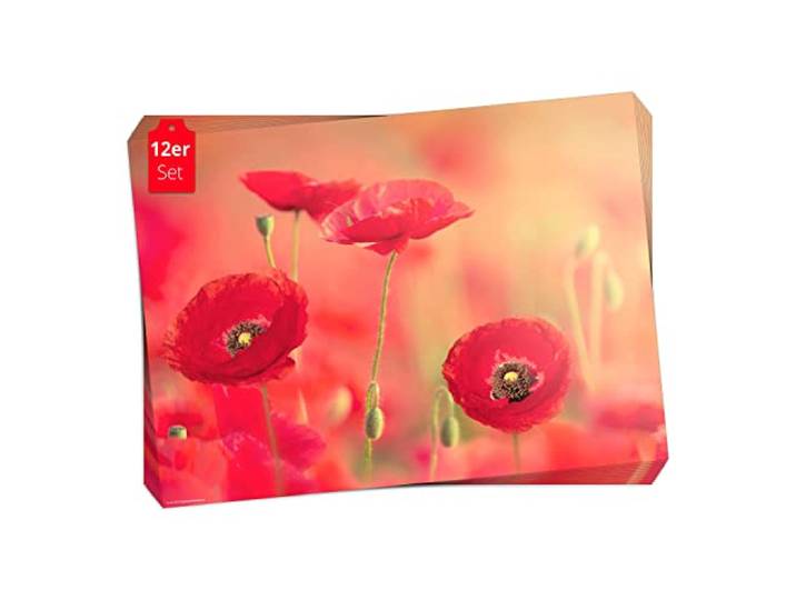 Tischset, Platzset - Rote Mohnblumen - 12 Stück Made in Germany, 44x32cm aus speziellem Naturpapier in Aufbewahrungsmappe – die besondere Tischdeko für Frühling, Ostern & Blumen