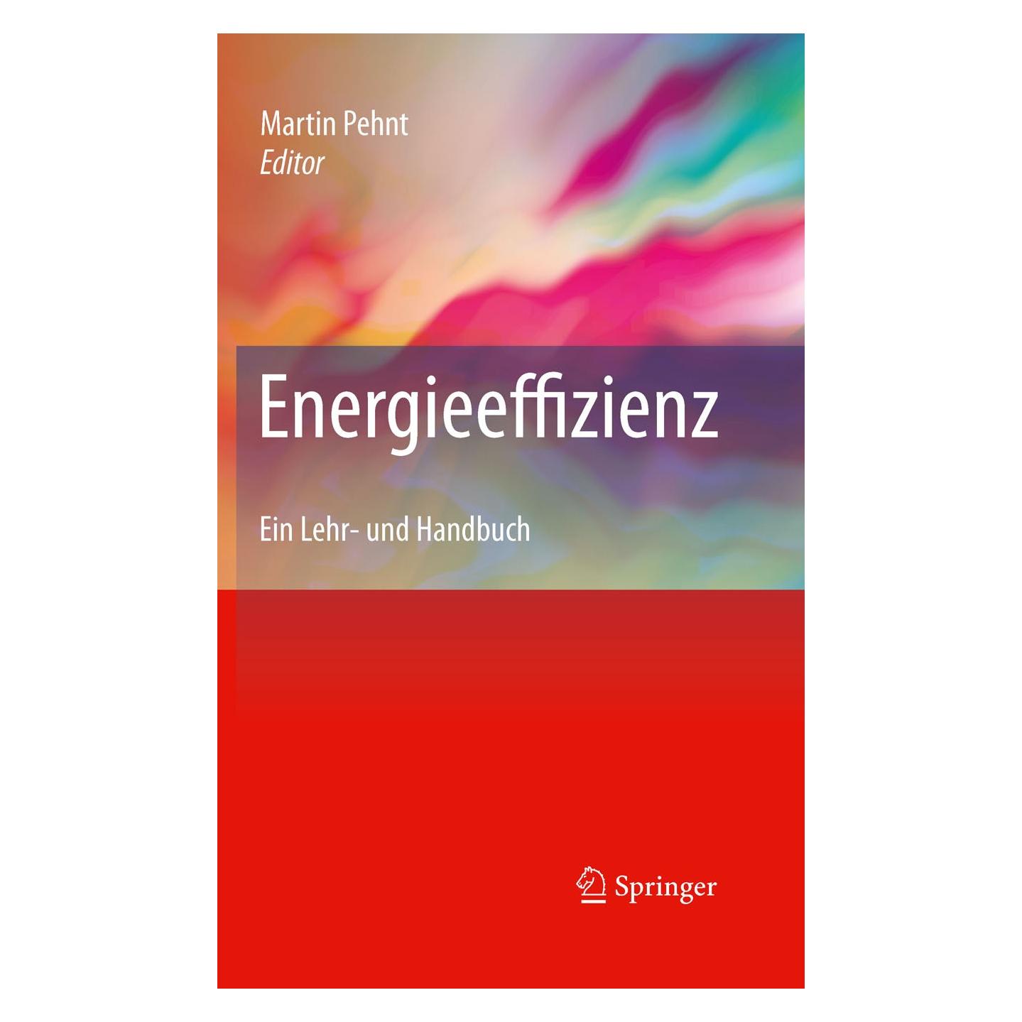 Springer Energieeffizienz (Deutsch, Martin Pehnt, 2010) (9783642142505)