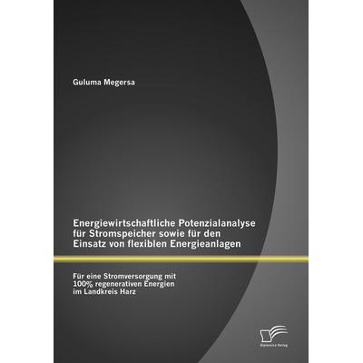 Energiewirtschaftliche Potenzialanalyse für Stromspeicher sowie für den Einsatz von flexiblen Energieanlagen: Für eine Stromversorgung mit 100%