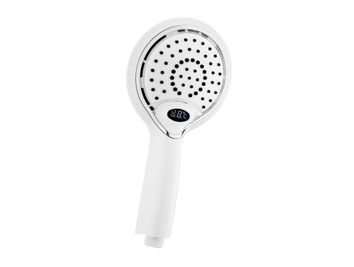 Douchette Lumineuse à LED 1 jet - FOXTER