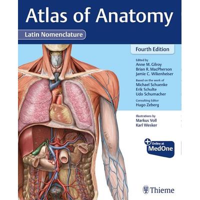 Atlas of Anatomy, Latin Nomenclature, Gebundene Ausgabe von Anne M. Gilroy,Brian R. MacPherson,Jamie Wikenheiser,Michael Schünke,Erik Schulte, Thieme