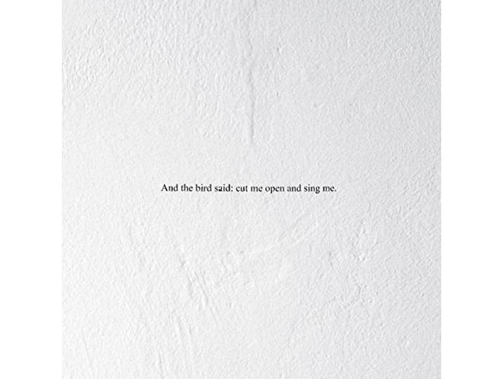 And the Bird Said: Cut Me Open and Sing Me