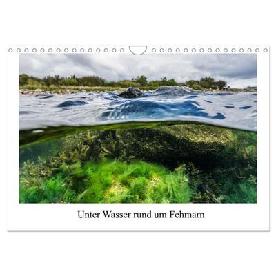 Unter Wasser rund um Fehmarn (Wandkalender 2026 DIN A4 quer), CALVENDO Monatskalender