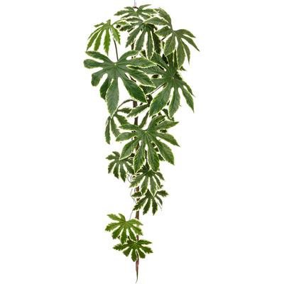 Kunstranke CREATIV GREEN "Araliahänger", grün, H:120cm, Obermaterial: 100% Kunststoff, Kunstpflanzen, mit wunderschöner Blattzeichnung