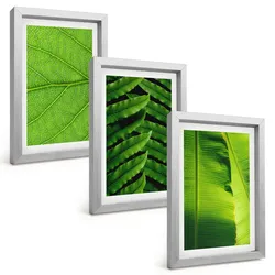 BILDER SET 3er Set - 20x30 cm Silberner Rahmen - Makrofotografie von tropischen Blättern