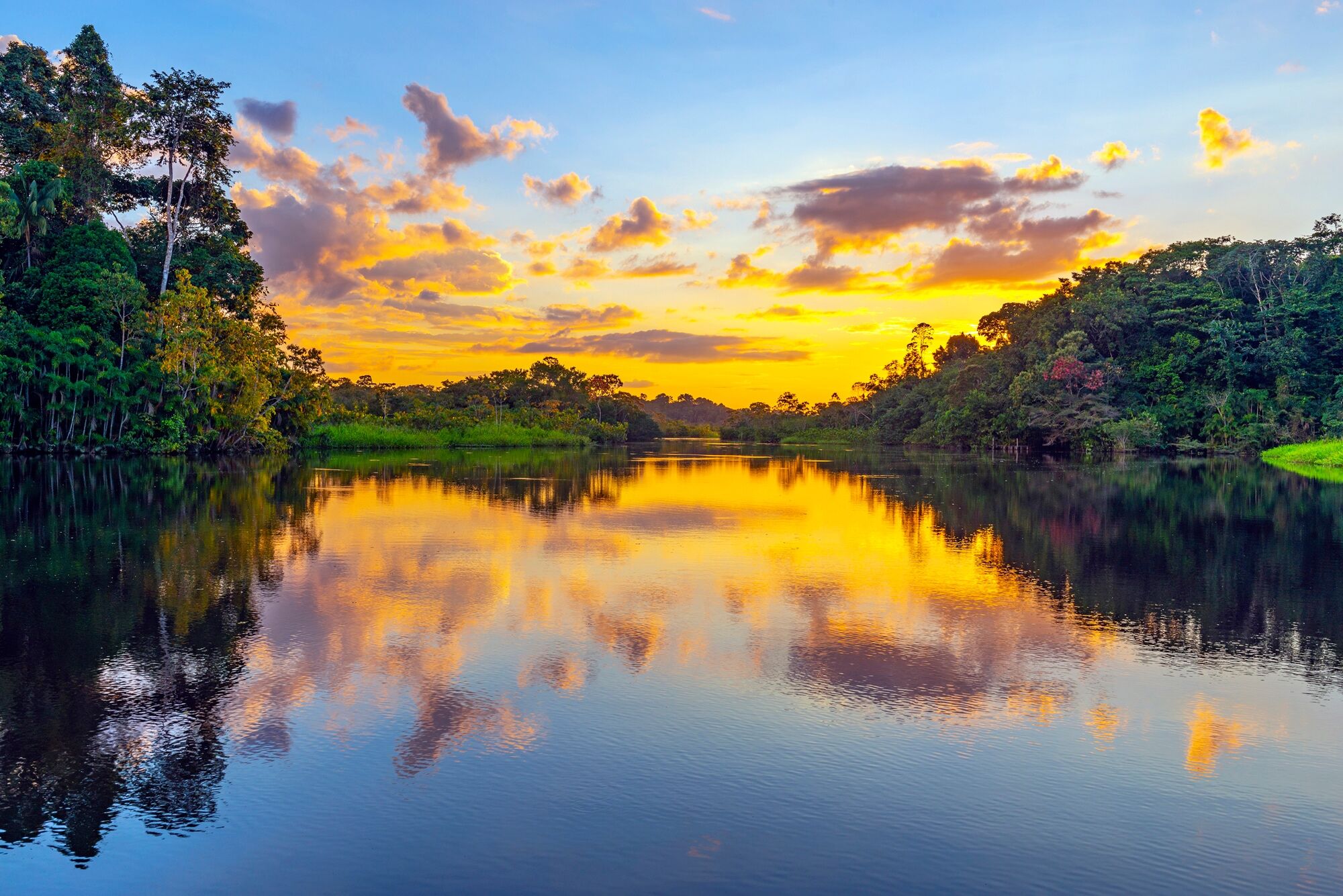 Fototapete PAPERMOON "REGENWALD-AMAZONAS WALD LAGUNE SONNENMUNTERGANG FLUSS", bunt, B:3m L:2,23m, Vlies, Tapeten, Fototapete bunt B/L: 3m x 2,23m, Bahnen: 6 Stk.
