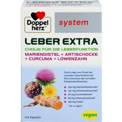 Doppelherz Leber Extra System 120 ST