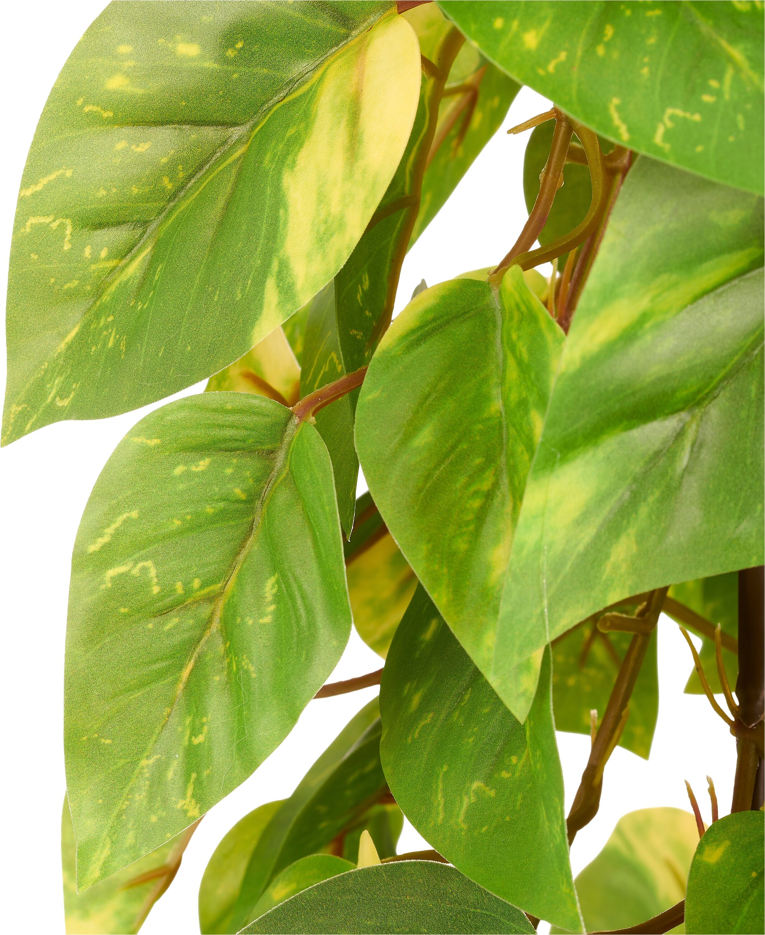Kunstpflanze CREATIV GREEN "Epipremnum", grün, H:125cm, Obermaterial: 100% Kunststoff, Kunstpflanzen, Kunstpflanze, in Pyramidenform