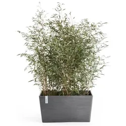 Ecopots, Blumentopf, Paris (46 x 99 x 50 cm)