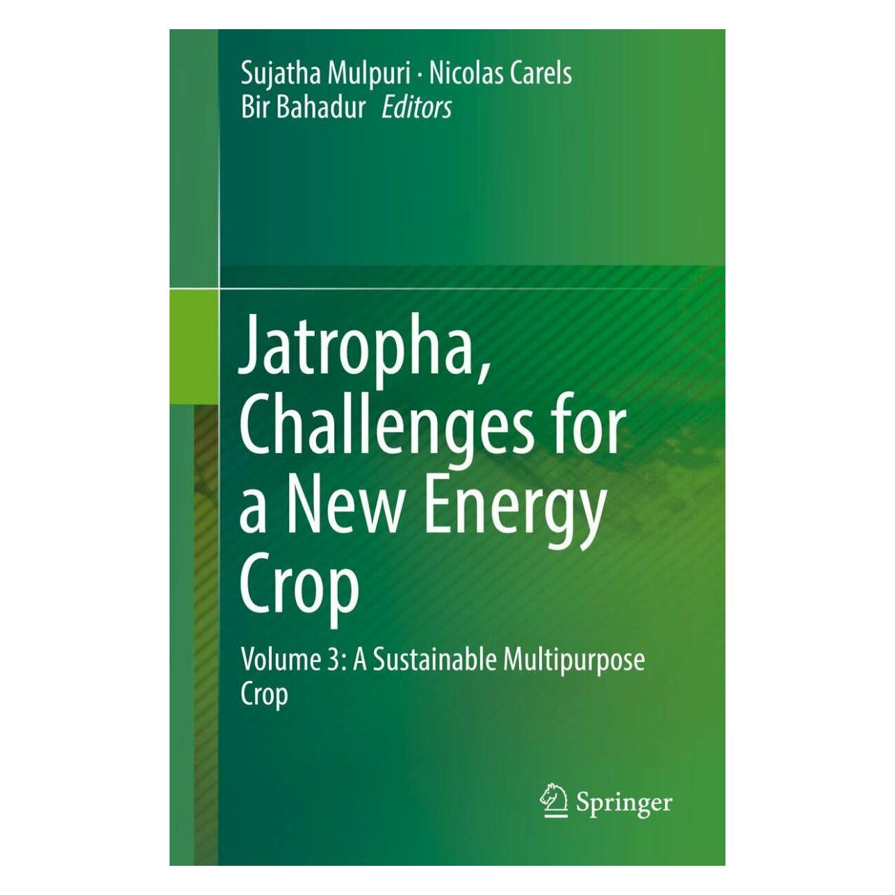 Springer Jatropha, Challenges for a New Energy Crop (Englisch, Hardcover, Bir Bahadur, Mulpuri Sujatha, Nicolas Carels) (38984187)