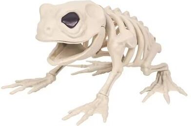 Uplifted Finds Simulated Halloween Animal Skeleton Props Outdoor Garden & Indoor Decor b