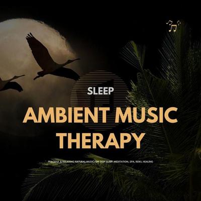 SLEEP: Ambient Music Therapy - The Sleep Sounds Academy, Audio, 4066339452824