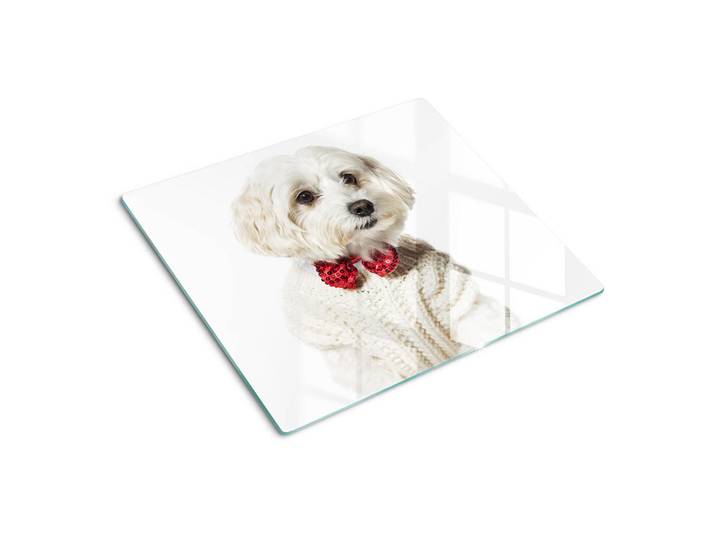 Tulup Glasplatte 60x52 cm Malteser Hund, Rot, Glas, 60x52 cm, Küchenzubehör, Schneidebretter