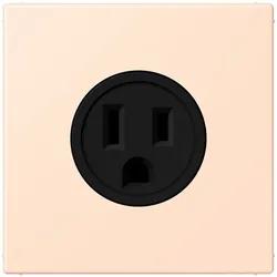 Jung Steckd NEMA15 LC 521-15 228