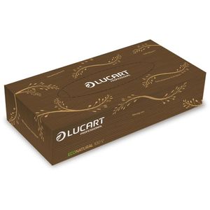 Lucart Kosmetiktücher EcoNatural 100 V, 841073, 2-lagig, Recycling, ökologisch, 100 Tücher