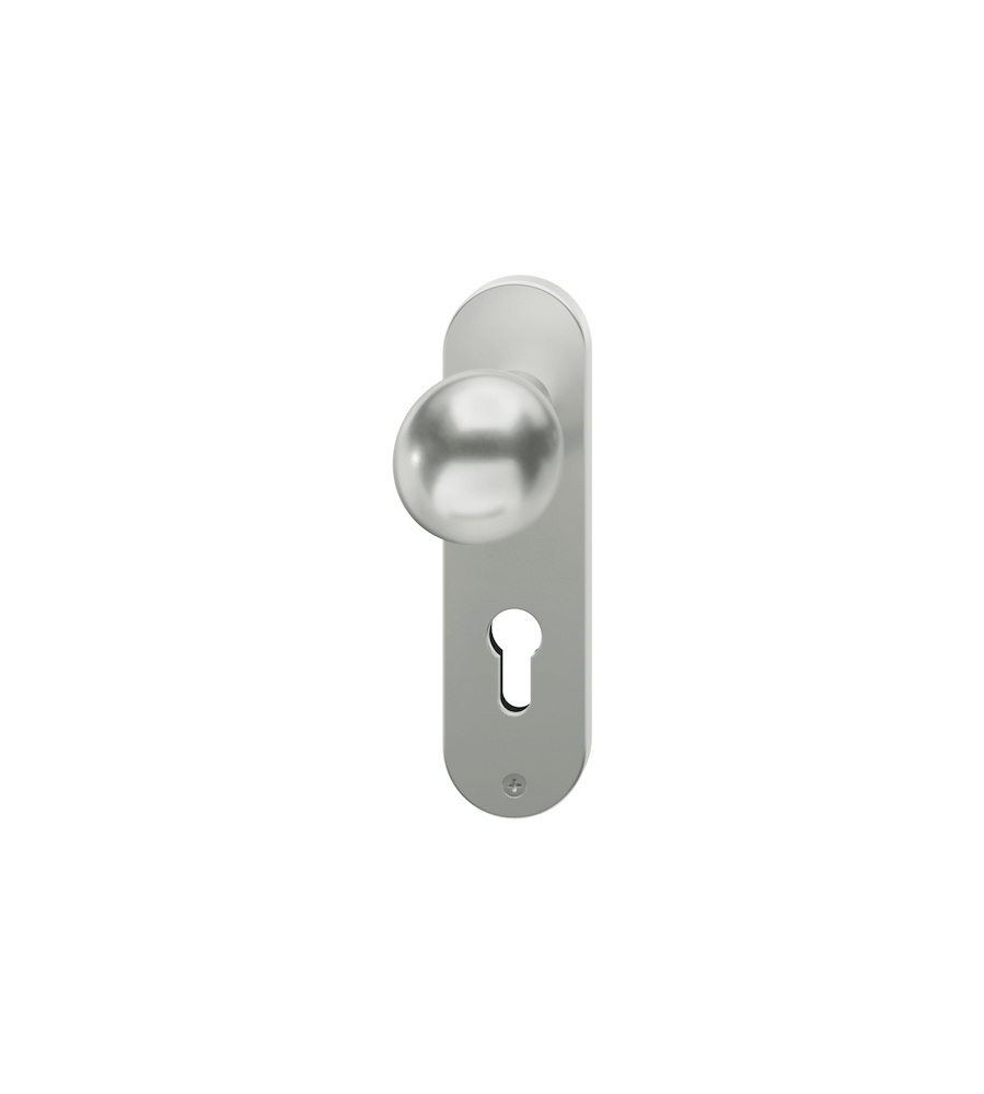 FSB Knopfschild 19 1923, Kurzschild, oval, Profilzylinder gelocht, Entfernung 72mm, Vierkant 8mm, DIN Links-Rechts, ohne Stütznocken, naturfarben eloxiert 0 19 1923 00010 0105