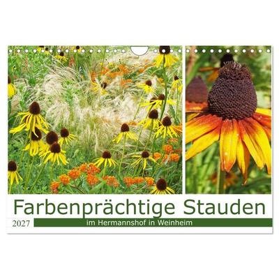 Farbenprächtige Stauden im Hermannshof in Weinheim (Wandkalender 2027 DIN A4 quer), CALVENDO Monatskalender
