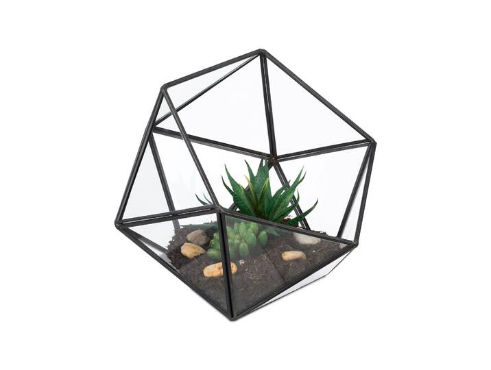 Geometrisches Pflanzenterrarium Glas Schwarz-Transparent