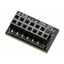 ASROCK TPM-SPI Module