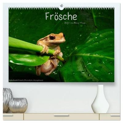 Frösche (hochwertiger Premium Wandkalender 2027 DIN A2 quer), Kunstdruck in Hochglanz