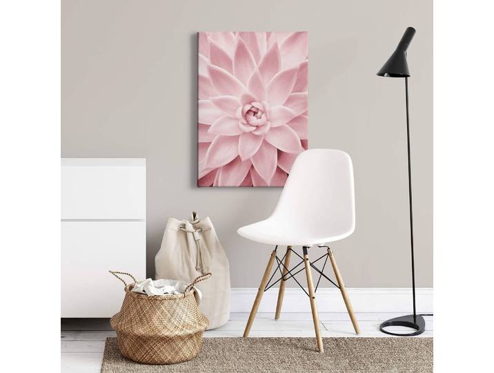 Leinwandbild Pink Succulents Polyester PVC / Fichtenholz Pink 50 x 70cm