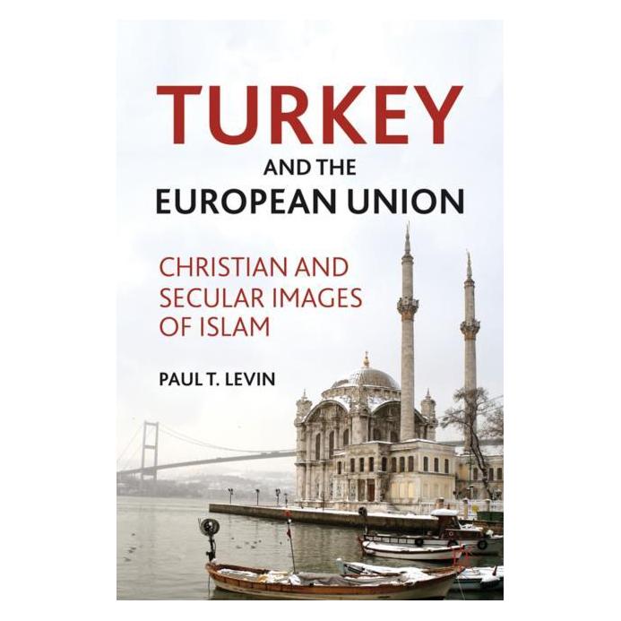 Palgrave Macmillan 9780230104617 (Englisch, Hardcover, P Levin, P. Levin) (9780230104617)