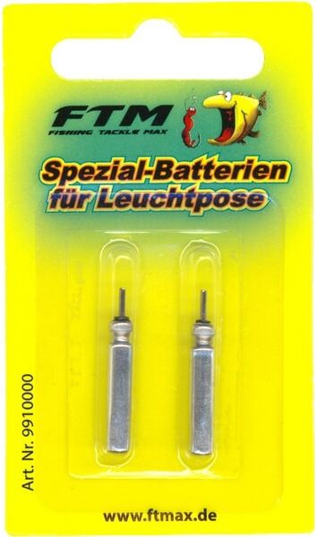 Ftm Batteri