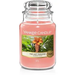 The Last Paradise 623g