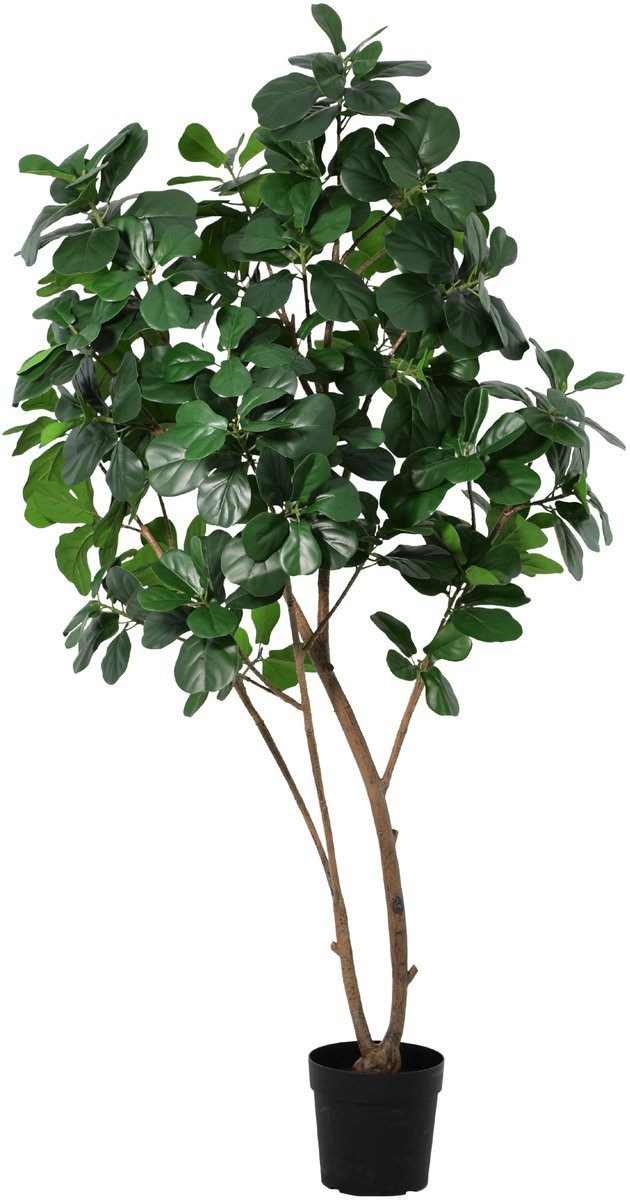 Florafy Kunstplant Ficus Lyrata XL 180cm - Onderhoudsvrije kunstboom voor binnen