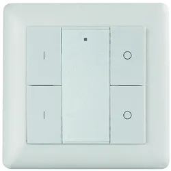 Rutec Funkwandtaster 2 Kanal, 2 ZONEN, einfarbig, dynamisch, IP20, 3V Batterie CR2430 (exkl.), weiß RU-80571