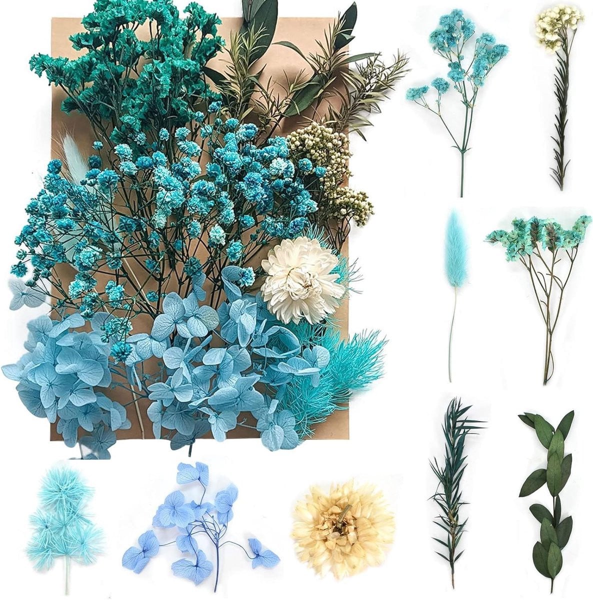 Gedroogde Bloemen Set Blauw - Natuurlijke Bloemen Decoratie voor Knutselen - 21 x 16 cm