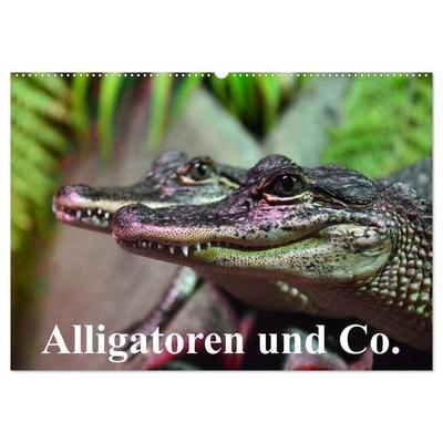 Alligatoren und Co. (Wandkalender 2026 DIN A2 quer), CALVENDO Monatskalender