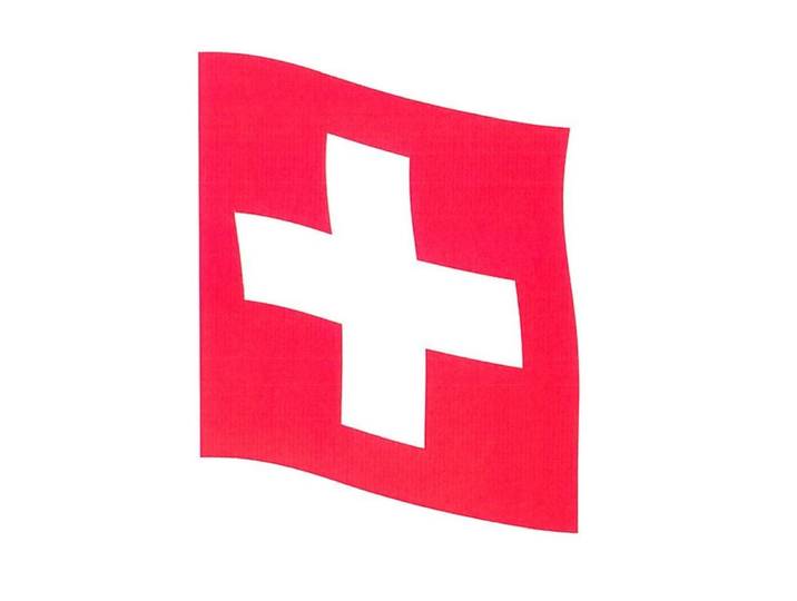 Fahne Haushaltsware Hissfahne , rot (bunt), B:150cm L:150cm, Polyester, Fahnen, Fahne