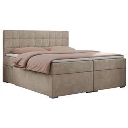 BOXBETT CARMEN 200/200 Beige Struktur - H4