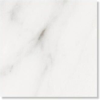 The Tile Life Gambit 8 x 8 Matte Porcelain Floor and Wall Tile