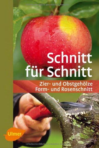 Heiko Hübscher - Schnitt für Schnitt: Zier- und Obstgehölze, Form- und Rosenschnitt - Preis vom 17.10.2026 19:25:27 h