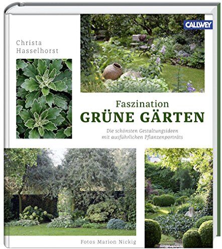 Christa Hasselhorst - Faszination Grüne Gärten: Die schönsten Gestaltungsideen mit ausführlichen Pflanzenporträts - Preis vom 09.10.2026 07:28:09 h