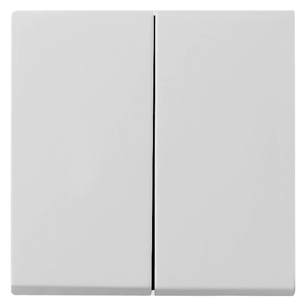 Gira Wippe 2f System 55 Grau m 0295015 (0295015)