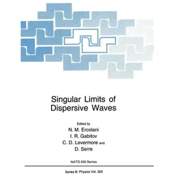 Singular Limits of Dispersive Waves, Fachbücher von I. R. Gabitov, N. M. Ercolani, C. D. Levermore, D. Serre
