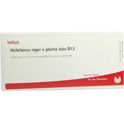 Helleborus Nig E Pl To D12 10 ML